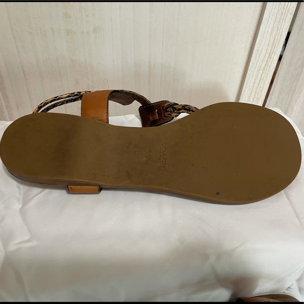 Coach Clarkson Python Flat Sandals - image 6